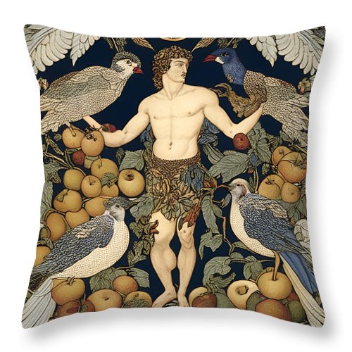 Son of Harvest - Throw Pillow